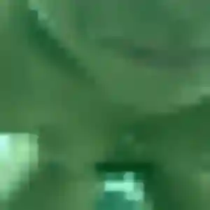 Jolie Capucine, 40 ans à Lucé - la contacter