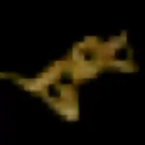 plan cul à Lüe : photo de Valentine, 24 ans - accès libre