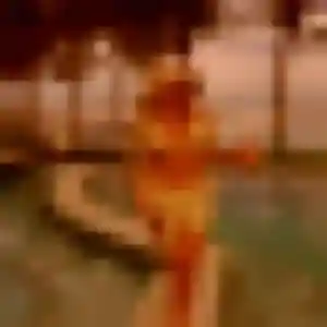 Photo perso de Thaïs, 31 ans à Luitré-Dompierre - rencontre sans lendemain