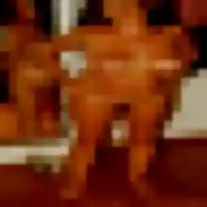 Leïla, 27 ans, cherche un plan cul à Lumio