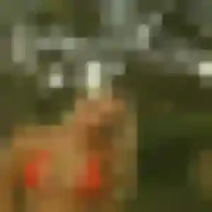 plan cul à Lunéville : profil de Ursula, 29 ans - inscription gratuite