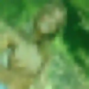 Photo exclusive de Mame, 43 ans à Lussac - rencontre coquine