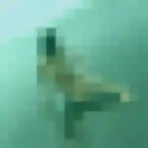 Photo exclusive de Mériem, 34 ans à Lussas - plan discret