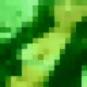 Contacte Chancelle, 36 ans à Lutzelhouse gratuitement