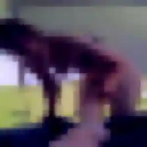 Precious, 29 ans, disponible à Luzancy pour une rencontre coquine