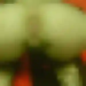 Olufunmi de Lyons-la-Forêt, 35 ans - plan cul en toute liberté