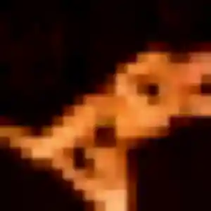 Chancelle, 30 ans, dispo pour plan cul à Maclas