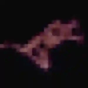 Daphné, fille de 38 ans veut plan cul à Macouria