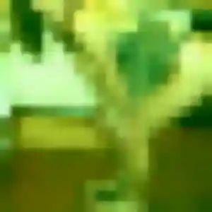 Kafui, femme de 32 ans propose plan cul à Magné