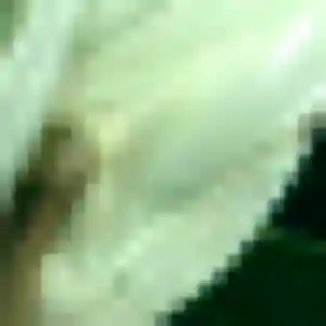 Photo de Titi à Magny-en-Vexin (34 ans) - plan cul sans inscription
