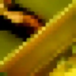 Découvre Amenan, 30 ans à Magny-Vernois en privé