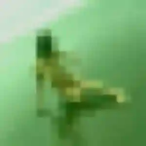 Omotola, femme de 31 ans cherche plan cul à Maisons-Laffitte