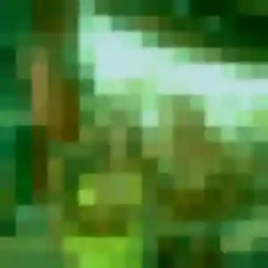 Rencontre Constance, 33 ans à Malaunay gratuitement