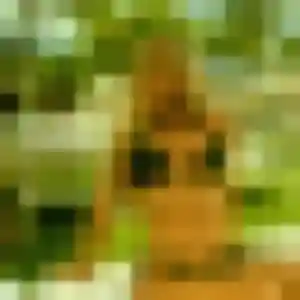 Rokia, 37 ans, connectée à Malleloy pour une rencontre coquine