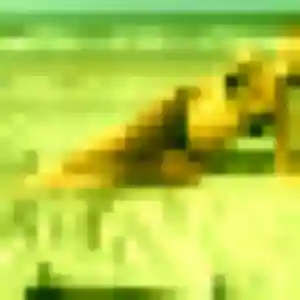 Yacine de Malleloy, 22 ans - plan cul sans prise de tête