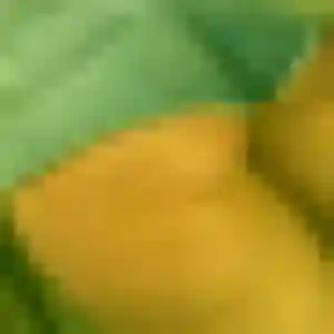 Photo exclusive de Salamata, 42 ans à Manderen-Ritzing - rencontre coquine
