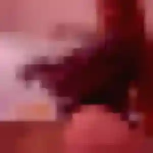 Photo privée de Amani, 37 ans à Marcelcave - rencontre coquine