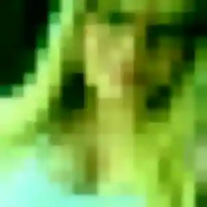 Sexy Patricia, 41 ans à Marcheprime - découvrir son profil