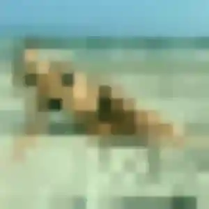 Sexy Soline, 31 ans à Maretz - la contacter