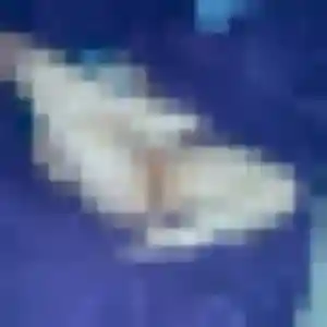 Sokhna, femme de 24 ans cherche plan cul à Marigny-Chemereau