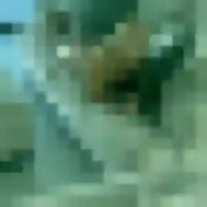 Profil de Thalia à Marsonnas (31 ans) - plan cul gratuit