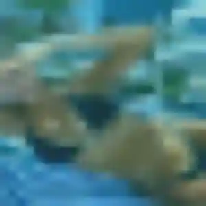 Profil de Wilda à Martel (26 ans) - plan cul sans inscription