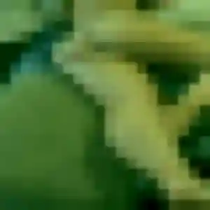 Photo exclusive de Laura, 26 ans à Mauron - plan discret