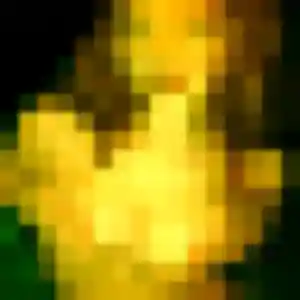 plan cul à Mauves : profil de Prisca, 34 ans - inscription gratuite