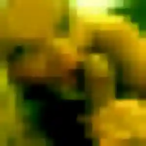 Eugénie, femme de 37 ans cherche plan cul à Mauvezin-sur-Gupie