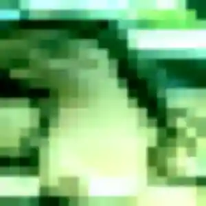 Codou de Mazé-Milon, 24 ans - plan cul sans lendemain