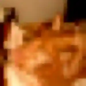 Photo de Nicole à Ménerbes (31 ans) - plan cul discret