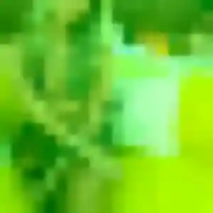 Shade de Mensignac, 26 ans - plan cul sans lendemain