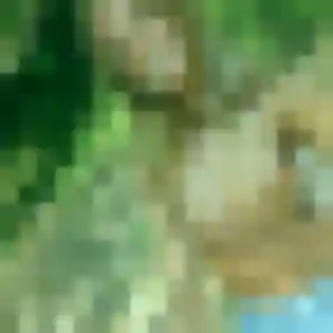 Adjoavi (36 ans) à Meroux-Moval cherche une rencontre maintenant