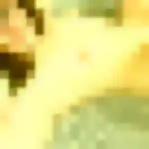 plan cul à Mertzwiller : photo de Ehui, 35 ans - inscription gratuite