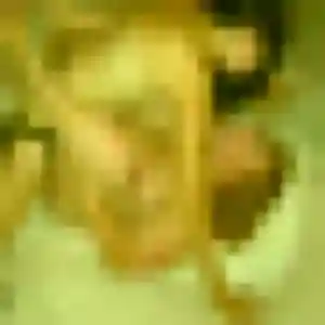 Charmante Josiane, 40 ans à Merxheim - voir sa photo