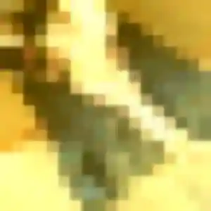 Photo de Aissatou à Méziré (45 ans) - plan cul discret