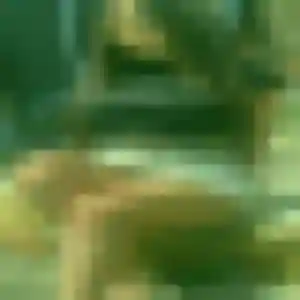 Profil de Chioma à Mézy-sur-Seine (28 ans) - plan cul discret