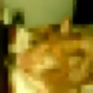 Belle Saffie, 35 ans à Miribel-les-Échelles - découvrir son profil