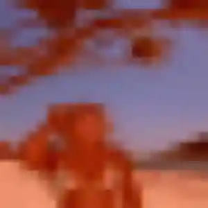 Bérénice, fille de 30 ans cherche plan cul à Misérieux