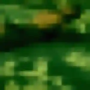 Photo de Bernadette à Misy-sur-Yonne (40 ans) - plan cul discret