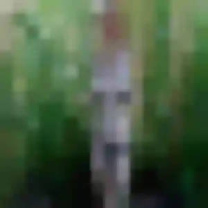 Amara de Mittersheim, 37 ans - plan cul sans lendemain