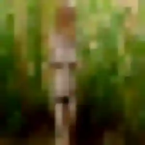 Photo sexy de Muthoni, 25 ans à Moissac - rencontre coquine