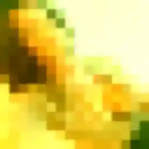 Amani (27 ans) à Moltifao propose une rencontre rapidement