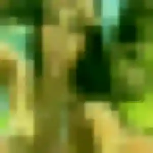 Photo sexy de Precious, 42 ans à Momas - rencontre coquine