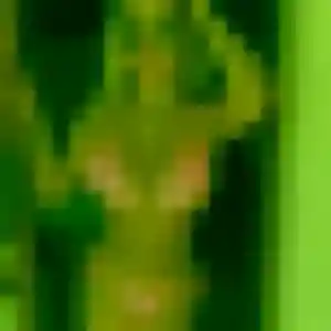 Priscilla, femme de 29 ans cherche plan cul à Mons
