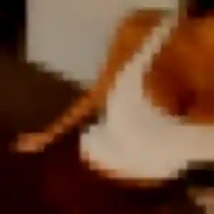 Priscilla, 28 ans, dispo pour plan cul à Mont-Saint-Martin