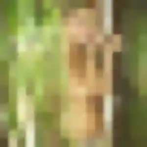 Photo de Ifeoma à Montagnole (40 ans) - plan cul gratuit