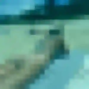 Charline (28 ans) à Montans propose un plan cul maintenant