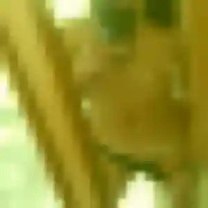 Profil de Olive à Montauban-de-Bretagne (32 ans) - plan cul discret