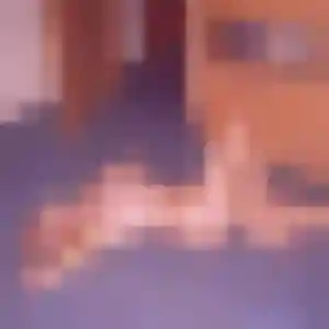 Salma, 27 ans, disponible à Montauban pour un plan cul